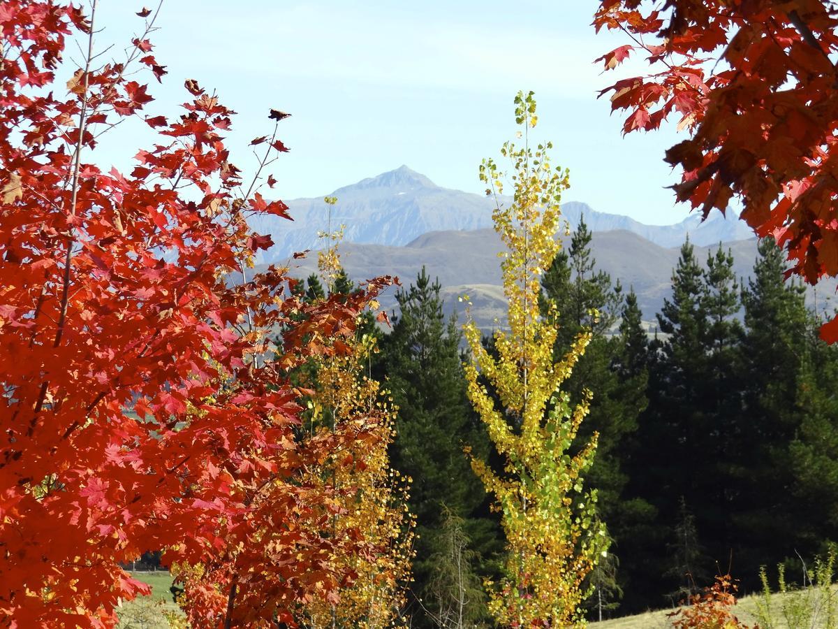 Mitchella Farm Lägenhet Wanaka Exteriör bild