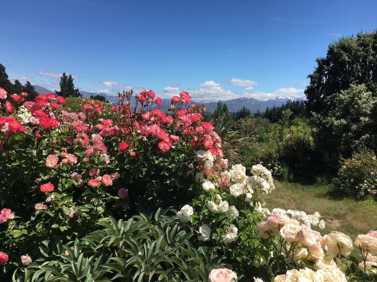 Mitchella Farm Lägenhet Wanaka Exteriör bild