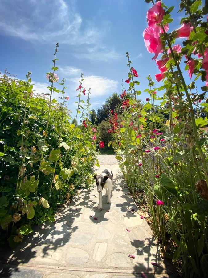 Mitchella Farm Lägenhet Wanaka Exteriör bild